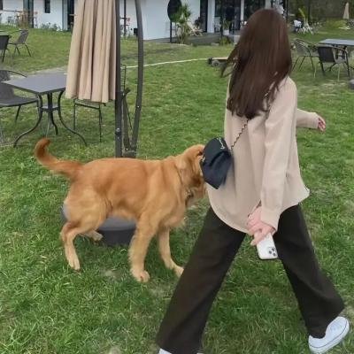 女巫之手